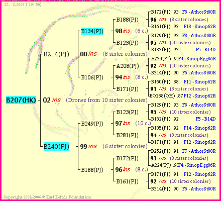 Pedigree of B207(HK) :
four generations presented