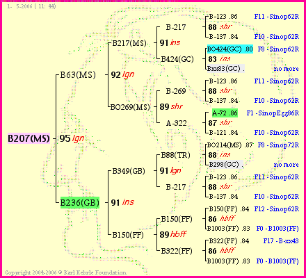 Pedigree of B207(MS) :
four generations presented
it's temporarily unavailable, sorry!