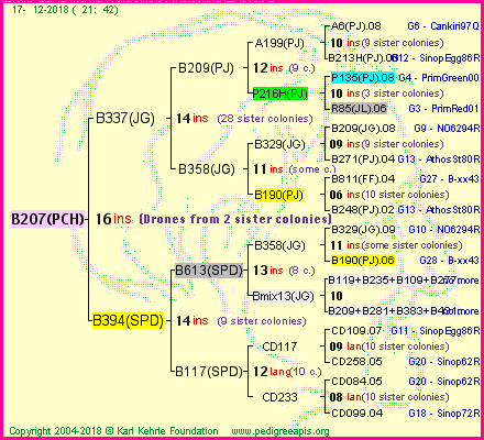 Pedigree of B207(PCH) :
four generations presented<br />it's temporarily unavailable, sorry!