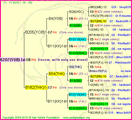 Pedigree of B207(YOB)1dr :
four generations presented
it's temporarily unavailable, sorry!