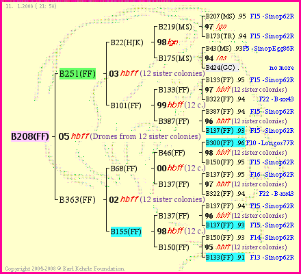 Pedigree of B208(FF) :
four generations presented