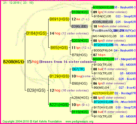 Pedigree of B208(HGS) :
four generations presented<br />it's temporarily unavailable, sorry!