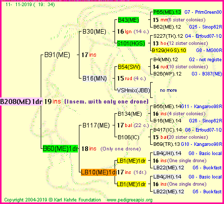 Pedigree of B208(ME)1dr :
four generations presented
it's temporarily unavailable, sorry!