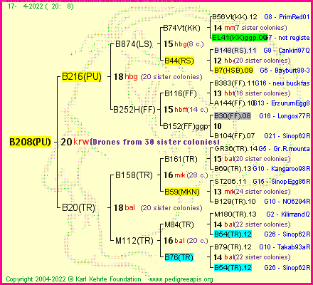 Pedigree of B208(PU) :
four generations presented
it's temporarily unavailable, sorry!