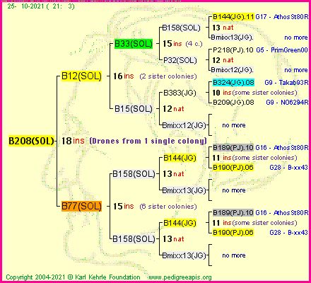 Pedigree of B208(SOL) :
four generations presented
it's temporarily unavailable, sorry!