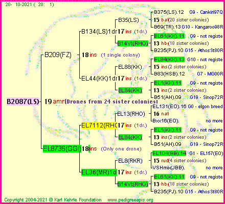 Pedigree of B2087(LS) :
four generations presented
it's temporarily unavailable, sorry!