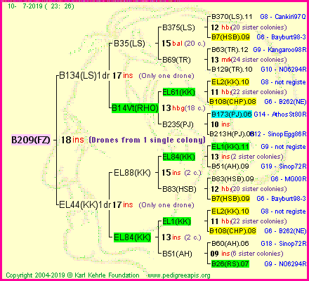 Pedigree of B209(FZ) :
four generations presented
it's temporarily unavailable, sorry!