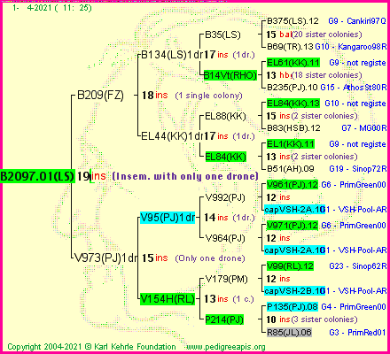 Pedigree of B2097.01(LS)1dr :
four generations presented
it's temporarily unavailable, sorry!