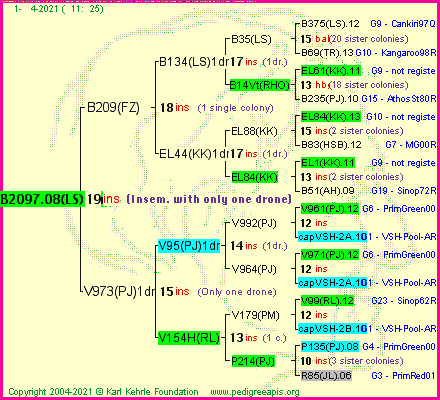 Pedigree of B2097.08(LS)1dr :
four generations presented
it's temporarily unavailable, sorry!