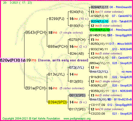 Pedigree of B20v(PCH)1dr :
four generations presented
it's temporarily unavailable, sorry!