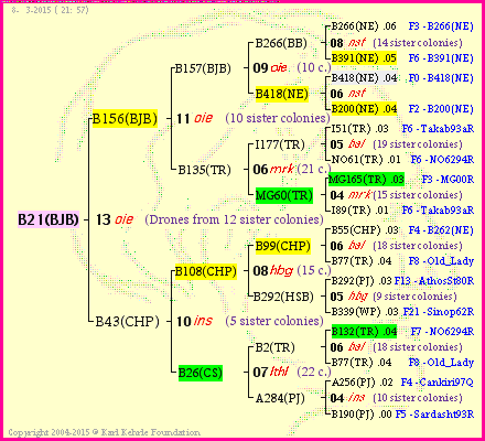 Pedigree of B21(BJB) :
four generations presented