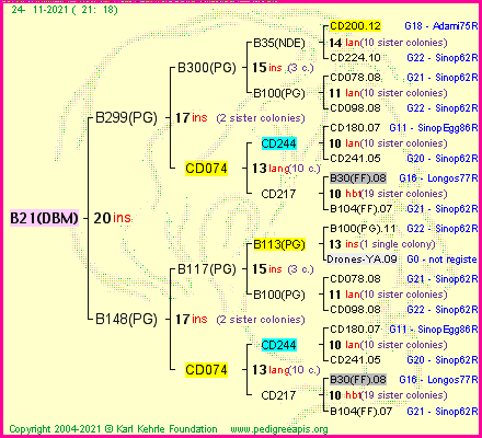 Pedigree of B21(DBM) :
four generations presented
it's temporarily unavailable, sorry!