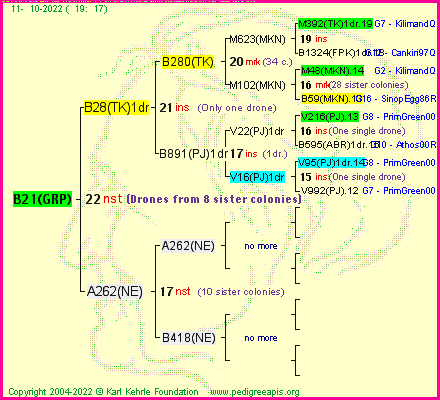 Pedigree of B21(GRP) :
four generations presented
it's temporarily unavailable, sorry!