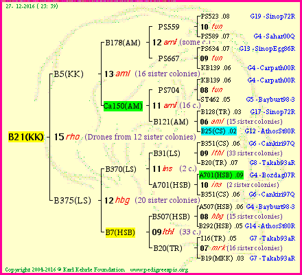 Pedigree of B21(KK) :
four generations presented
it's temporarily unavailable, sorry!