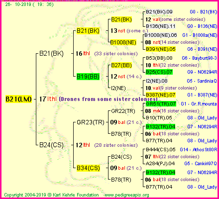 Pedigree of B21(LM) :
four generations presented<br />it's temporarily unavailable, sorry!