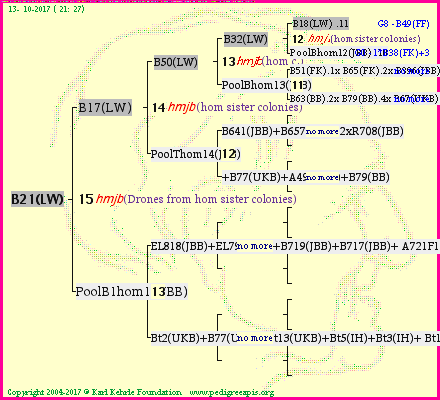 Pedigree of B21(LW) :
four generations presented<br />it's temporarily unavailable, sorry!