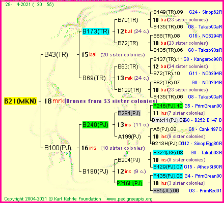 Pedigree of B21(MKN) :
four generations presented
it's temporarily unavailable, sorry!