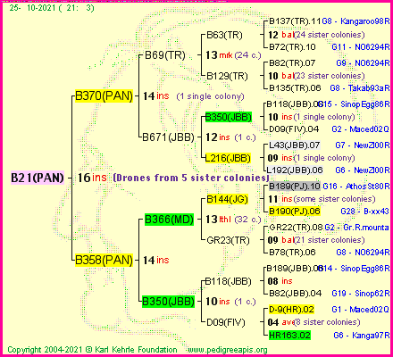 Pedigree of B21(PAN) :
four generations presented
it's temporarily unavailable, sorry!