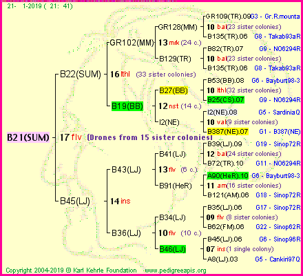 Pedigree of B21(SUM) :
four generations presented<br />it's temporarily unavailable, sorry!