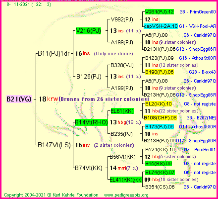 Pedigree of B21(VG) :
four generations presented
it's temporarily unavailable, sorry!