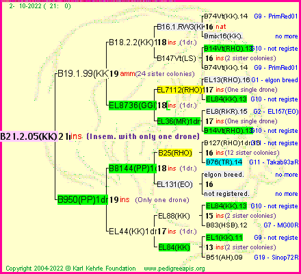 Pedigree of B21.2.05(KK)1dr :
four generations presented
it's temporarily unavailable, sorry!