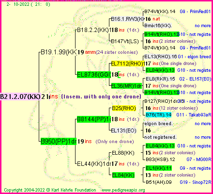 Pedigree of B21.2.07(KK)1dr :
four generations presented
it's temporarily unavailable, sorry!