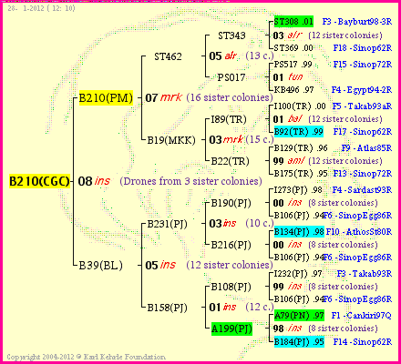 Pedigree of B210(CGC) :
four generations presented