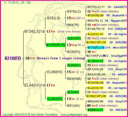 Pedigree of B210(FZ) :
four generations presented<br />it's temporarily unavailable, sorry!