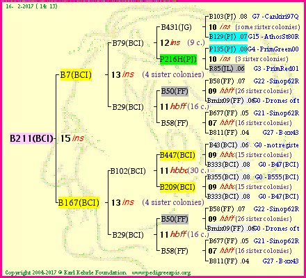 Pedigree of B211(BCI) :
four generations presented