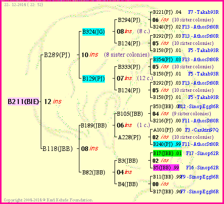 Pedigree of B211(BIE) :
four generations presented