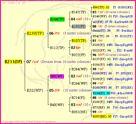 Pedigree of B211(TP) :
four generations presented