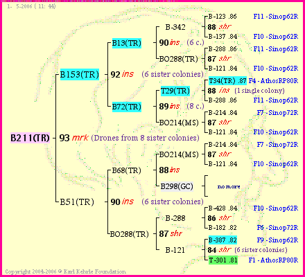 Pedigree of B211(TR) :
four generations presented<br />it's temporarily unavailable, sorry!