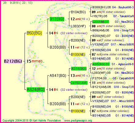 Pedigree of B212(BG) :
four generations presented<br />it's temporarily unavailable, sorry!