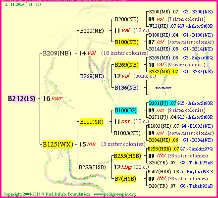 Pedigree of B212(LS) :
four generations presented<br />it's temporarily unavailable, sorry!