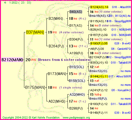 Pedigree of B212(MAN) :
four generations presented
it's temporarily unavailable, sorry!