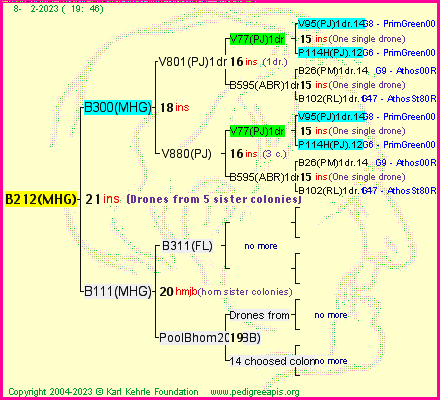 Pedigree of B212(MHG) :
four generations presented
it's temporarily unavailable, sorry!