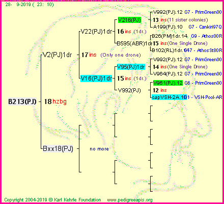 Pedigree of B213(PJ) :
four generations presented<br />it's temporarily unavailable, sorry!