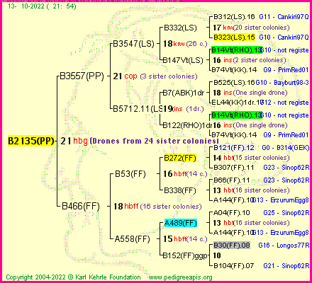 Pedigree of B2135(PP) :
four generations presented
it's temporarily unavailable, sorry!