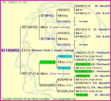 Pedigree of B214(MHG) :
four generations presented
it's temporarily unavailable, sorry!