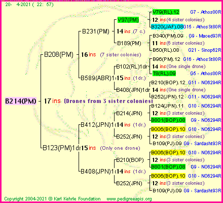 Pedigree of B214(PM) :
four generations presented
it's temporarily unavailable, sorry!