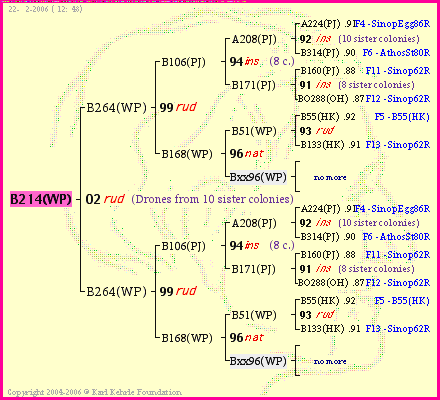 Pedigree of B214(WP) :
four generations presented