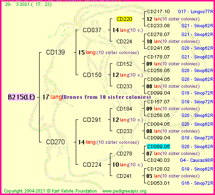 Pedigree of B215(LE) :
four generations presented
it's temporarily unavailable, sorry!