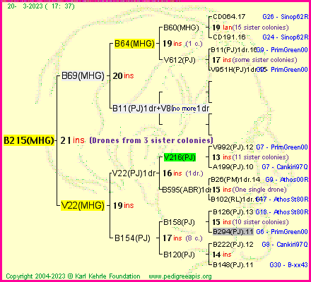 Pedigree of B215(MHG) :
four generations presented
it's temporarily unavailable, sorry!