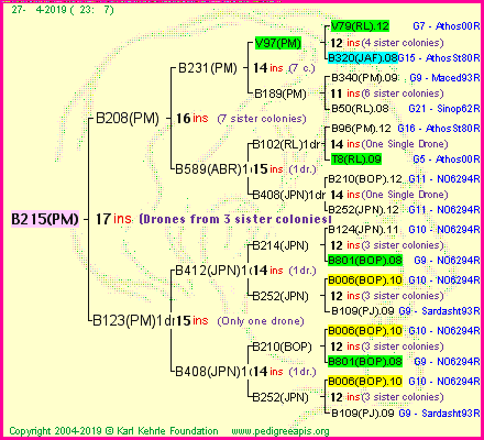 Pedigree of B215(PM) :
four generations presented<br />it's temporarily unavailable, sorry!