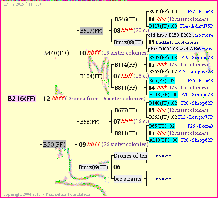 Pedigree of B216(FF) :
four generations presented