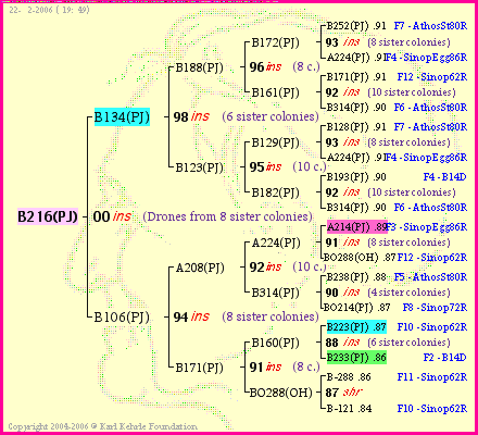 Pedigree of B216(PJ) :
four generations presented