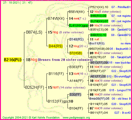 Pedigree of B216(PU) :
four generations presented
it's temporarily unavailable, sorry!