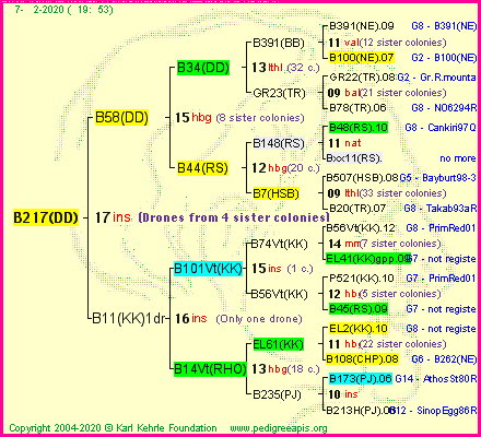 Pedigree of B217(DD) :
four generations presented<br />it's temporarily unavailable, sorry!