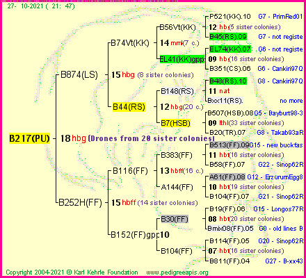 Pedigree of B217(PU) :
four generations presented
it's temporarily unavailable, sorry!