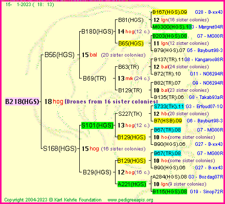 Pedigree of B218(HGS) :
four generations presented
it's temporarily unavailable, sorry!